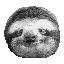 The OSsloth Twitch emote, a headshot of a grey sloth.